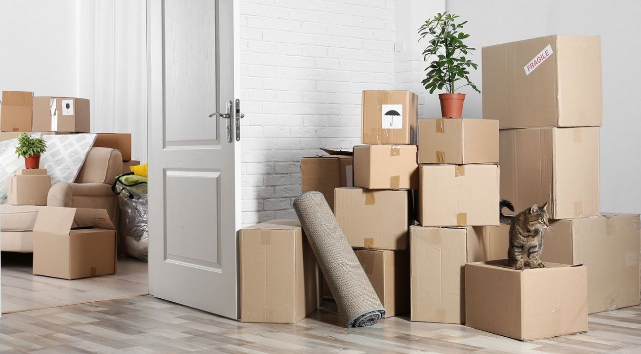 boxes 2